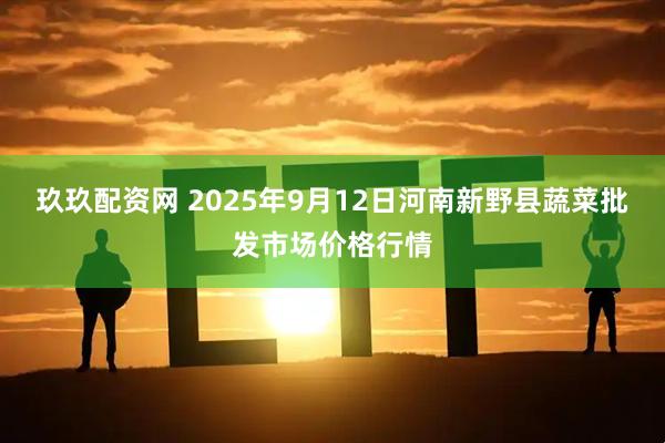 玖玖配资网 2025年9月12日河南新野县蔬菜批发市场价格行情